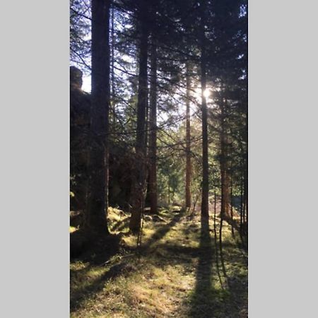 Gemuetliches Ferienhaus Am Waldrand Tröpolach Exteriör bild