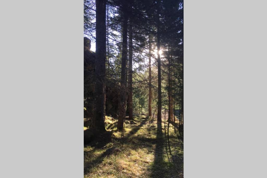 Gemuetliches Ferienhaus Am Waldrand Tröpolach Exteriör bild